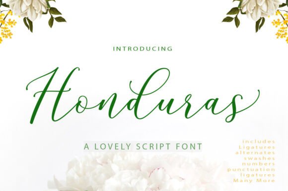 Why Honduras Script Is the Perfect Font for Elevating Your Brand Identity