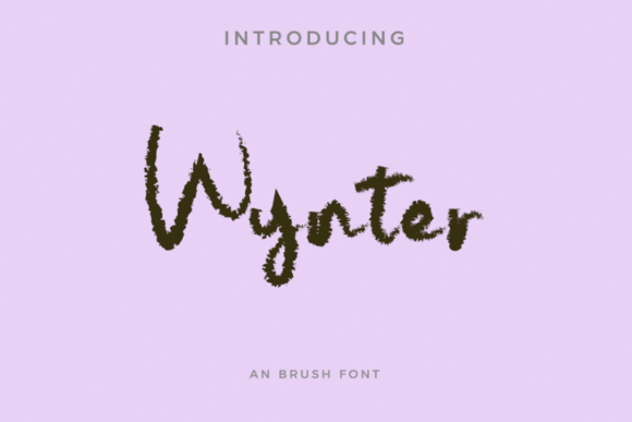 Wynter Typeface: Elevate Campaign Visuals with Elegant Script Design